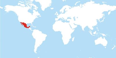 નકશો મેક્સિકો વૈશ્વિક