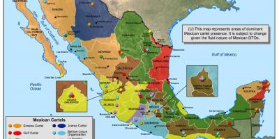 મેક્સીકન કાર્ટેલ નકશો